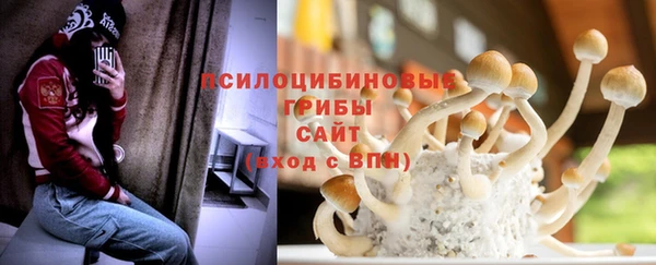 молекула духа Корсаков
